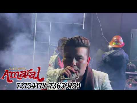 GRUPO AMARAL EN VIVO (LA PAZ) TACACOMA #cumbiasureña #viral #GRUPOAMARAL #bolivia