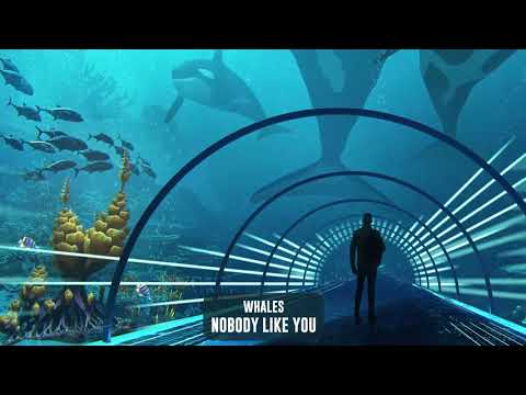 Video thumbnail for Nobody Like You
