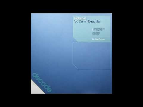 Poloroid - So Damn Beautiful (Dogzilla Remix) (2003)