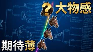 【2歳馬ライブ】トークライブ 2026/09/01【全頭分析ライブ】