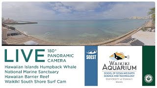 South Shore Surf Cam - Waikiki Aquarium 
