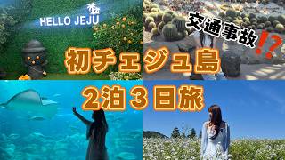 チェジュ島2泊3日旅で交通事故⁉️