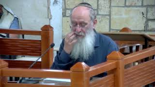 בריחת אבשלום - שיעור 102 - שמואל ב' - פרק י"ג (הרב אורי עמוס שרקי) - התמונה מוצגת ישירות מתוך אתר האינטרנט יוטיוב. זכויות היוצרים בתמונה שייכות ליוצרה. קישור קרדיט למקור התוכן נמצא בתוך דף הסרטון