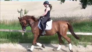 Video von Escorial 155