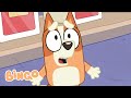 Dad Is Teasing Bingo Season 1 Bluey Highlight Teasing Bingo Official Channel