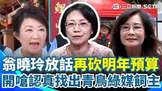 鄭麗文才發文「承接1.5萬盒月餅」補破網！ 翁曉玲氣炸放話「再砍明年預算」：認真找出青鳥綠媒飼主！｜三立新聞網 SETN.com