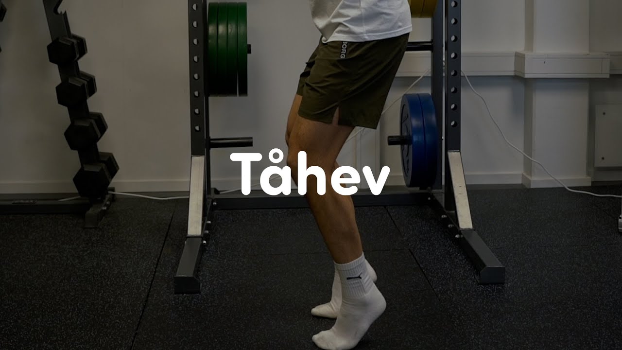 Tåhev