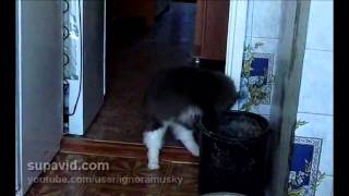 I told you a 1000 times not to touch my stuff!