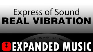 Express Of Sound - Real Vibration (Want Love)