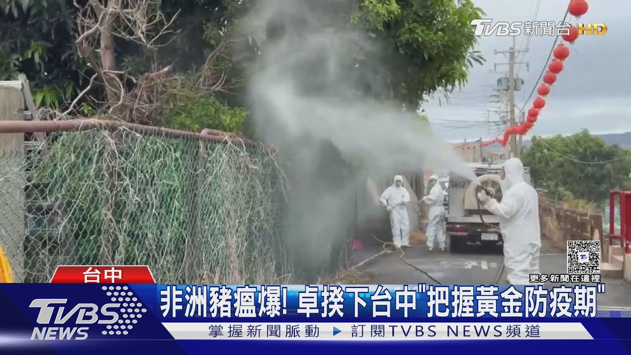 防堵非洲豬瘟!全台豬隻禁運5天 28頭可疑豬流向曝光「已售完」