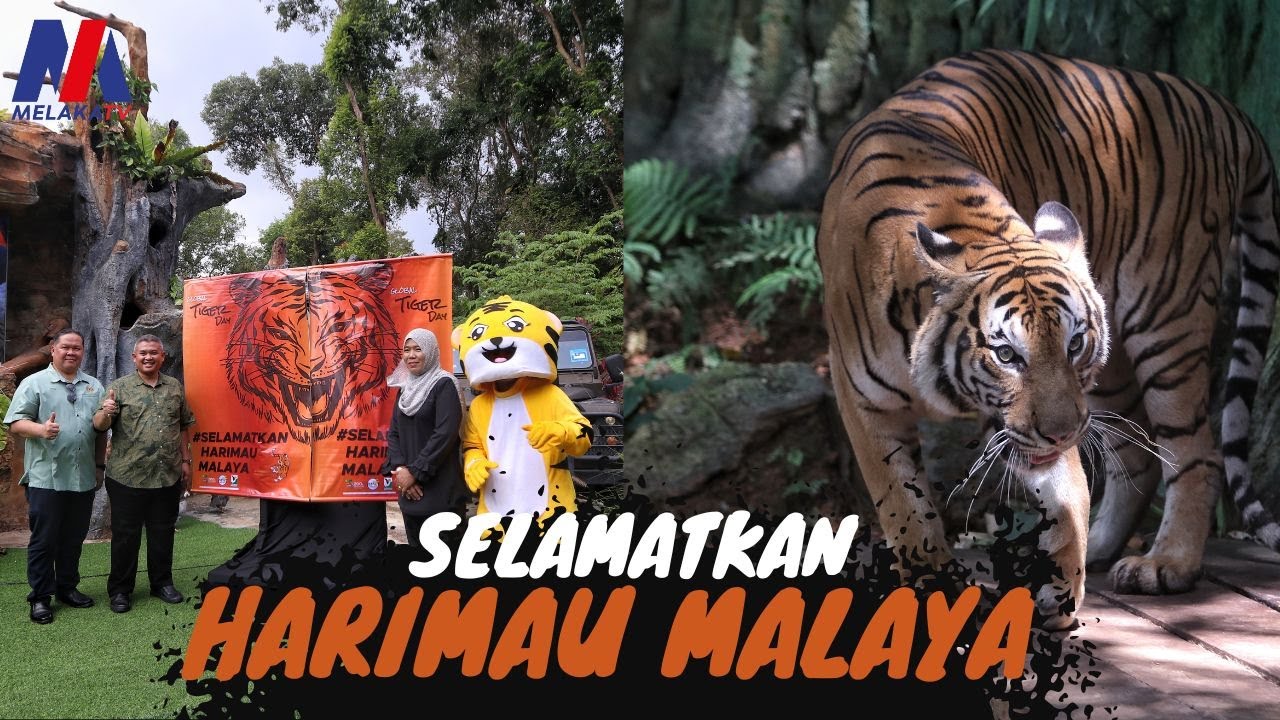 Selamatkan Harimau Malaya