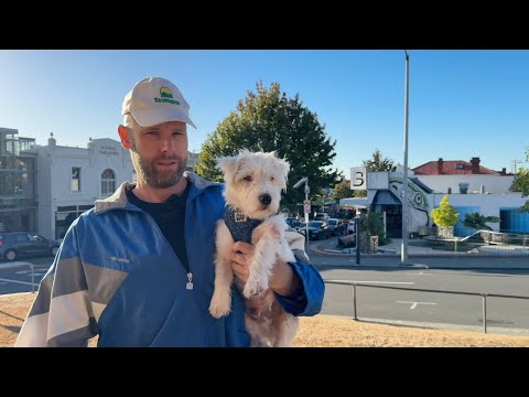 North Hobart Laid Out