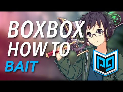 BOX BOX - PRO GUIDE: "How to Bait"