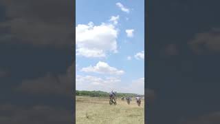 Download lagu Sporting in the wildness#Refreshing moments in MATURE mp3