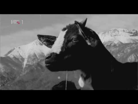 Krajačev san - HRT dokumentarni film