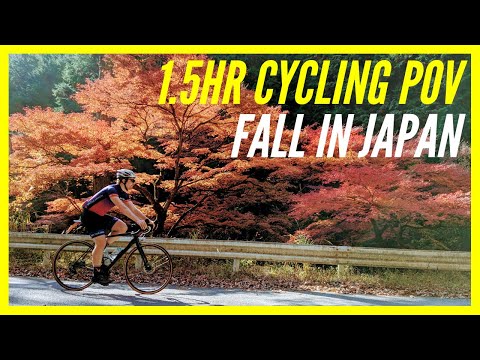 Falling Leaves Autumn Cycling in Japan | 1.5 HR POV | HD 1080P ASMR Bike Ride