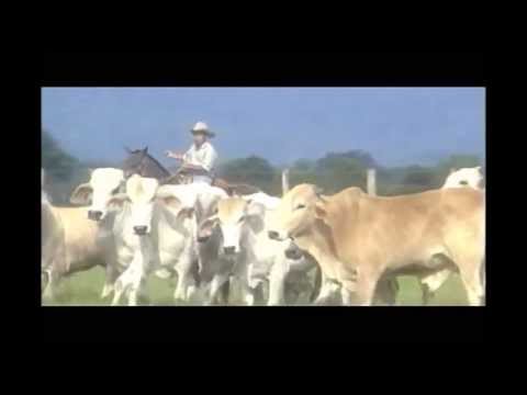 JESUS MORENO AMAME SIEMPRE