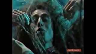 Angelo Branduardi [𝗦𝗧𝗥𝗬𝗫 ]      𝕷𝖆 𝖘𝖕𝖔𝖘𝖆 𝖗𝖚𝖇𝖆𝖙𝖆