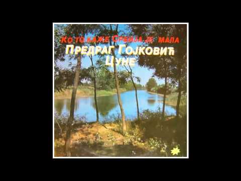Predrag Cune Gojkovic - Moj konjicu laki lagani - (Audio 1988) HD