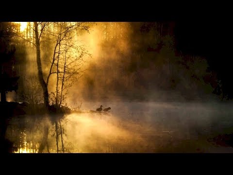 Gentle Breeze  |  Jonathan Scott