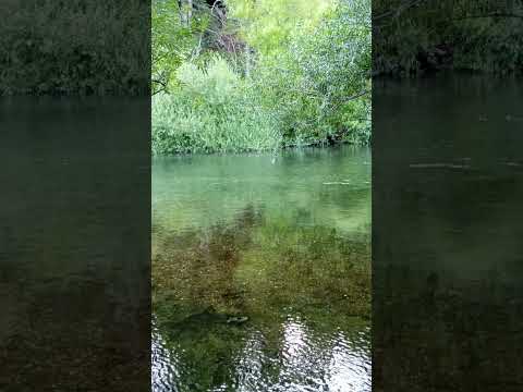 Lago Puelo, mates y reflexiones.