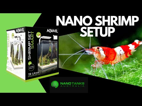 AquaEl Shrimp Set Smart UNBOXING and NANO SCAPE Review!