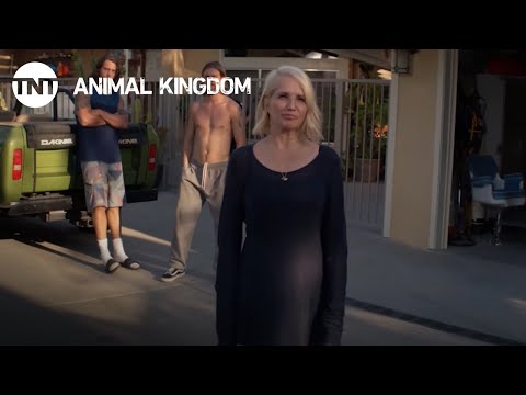 Animal Kingdom: Every Day is Smurf's Day | TNT