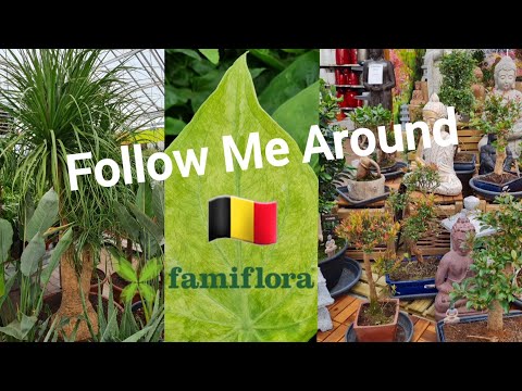 Follow Me Around ⭐️ | Famiflora De Panne 🌱 | Belgien 🇧🇪