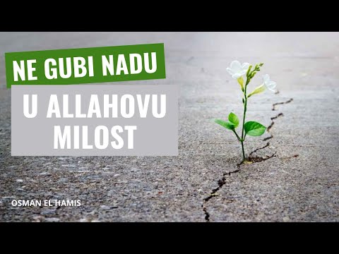 Osman el Hamis - Ne gubi nadu u Allahovu milost