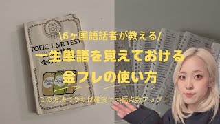 【一生単語を忘れない！】金フレの使い方