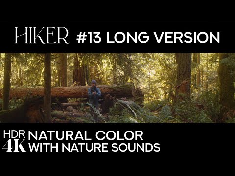 Silent Hike on May Valley Trail | Journey with Hiker #13 | Natural/Anamorphic 2x/Long + Real Sounds