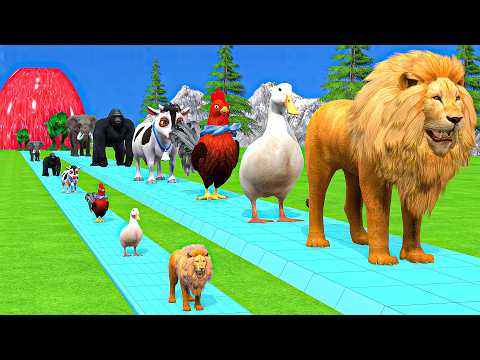 Long Slide Game With Elephant Gorilla Buffalo Hippopotamus Tiger 3d Animal Game Funny 3d Animals