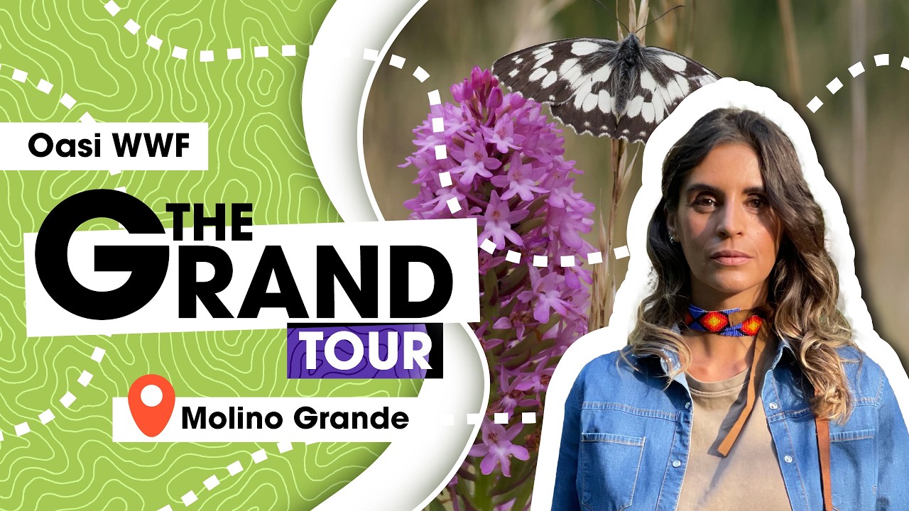 Molino Grande e la presenza del lupo