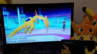 ピカブイ実況２