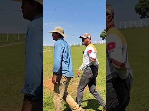Chácara com casa, chalé, represas e estrutura rural – Ventania/PR | R$ 770 mil | 43 99627-5172