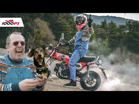 Honda DAX 125  Test 2023 - Who let the Dogs out?