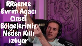 RRaenee Evrim Ağacı Cinsel Bölgelerimiz Neden Kıllı İzliyor