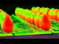 Cadbury S Creme Egg Here Today Goo Tomorrow 2008 UK Effects Cllieszy Csupo Effects