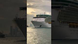 Independence of the Seas 🛳️ #like #share #comment #subscribe #cruiseship #cruise #vacation #shorts