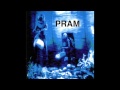 Pram - Chrysalis
