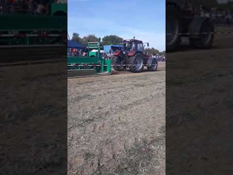 Börde Pull 2018 ihc