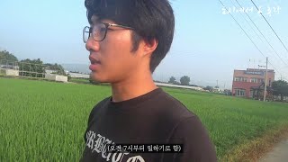 경북 칠곡, 화훼농가에서 일해보기. 리시안셔스 / 백합 / 잔치국수 [전국밥상여행] #39.