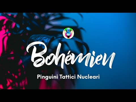 Pinguini Tattici Nucleari - Bohémien (Testo/Lyrics)