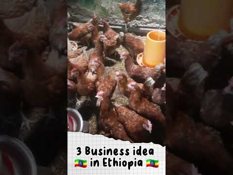 ያለ ንግድ ፍቃድ የሚሰሩ ትርፋማ አዋጭ 3 የቢዝነስ ሃሳቦች #jobs #ካናዳ #ሰይፉ #ብር