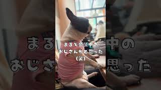 風格がおじさんなフレブル🤣