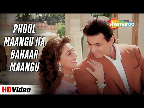 Phool Maangu Na Bahaar Maangu | Raja (1995) | Udit Narayan, Alka Yagnik | Madhuri | 90s Love Songs