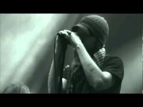 Swallow The Sun-Falling World (Sea Shepherd videos)