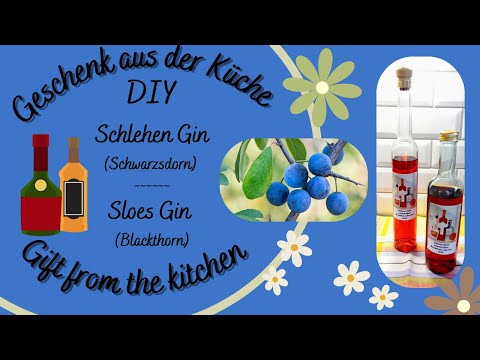 Schlehen Gin //Sloes Gin