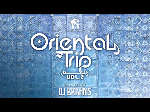 Oriental Trip, Vol. 2 (compiled by Dj Brahms)