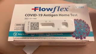 COVID 19 Day 2 Symptoms and a Positive Flow Flex at Home COVID Test - DAY